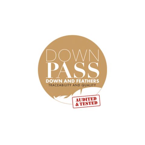 DOWNPASS Logo