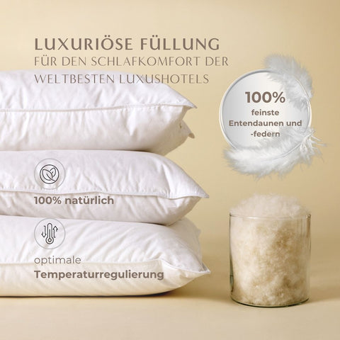 Premium 1-Kammer-Kissen Klassiker mit natürlicher Daunen- und Federfüllung, dargestellt mit Kissenstapel und Füllmaterial.
