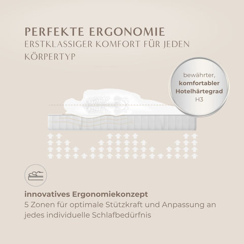 Grafische Darstellung der Excellence Matratze 1000+ mit 5 ergonomischen Liegezonen für individuelle Unterstützung und druckentlastenden Schlafkomfort.