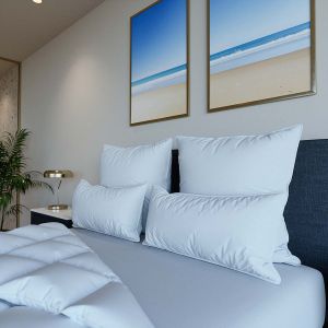 Hanse almohada natural premium extra gruesa