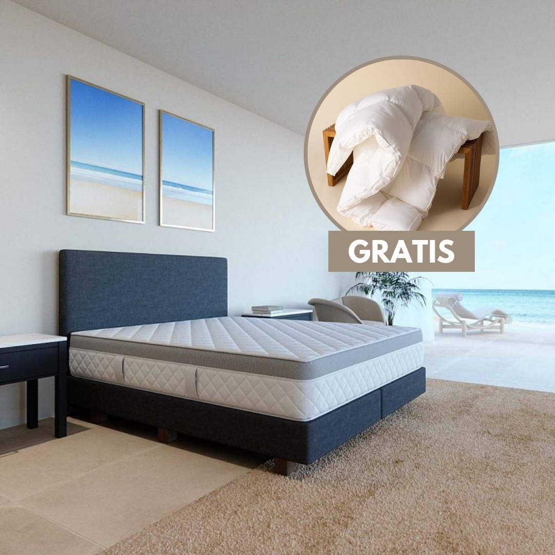 Hanse Matratze 1000 plus + kostenlos: Topper Federfrei